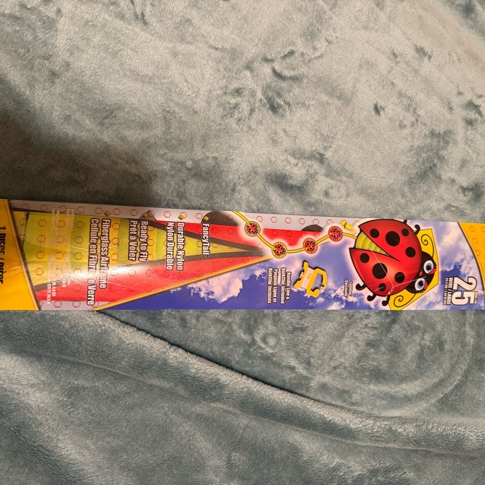 Colorful Ladybug Kite for Kids
